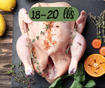 /whole-fresh-turkey-18-20-lbs